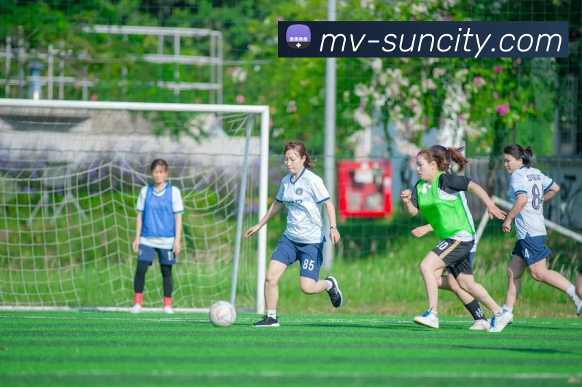 太阳城平台APP 封面图